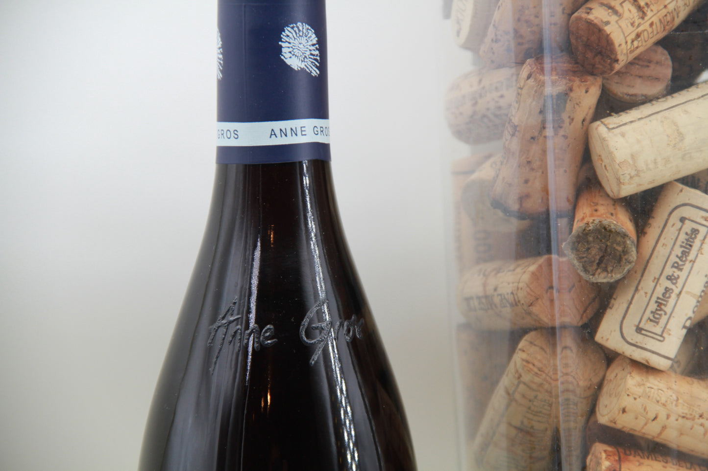 Bourgogne 'Pinot noir ' Domaine Anne Gros 2021