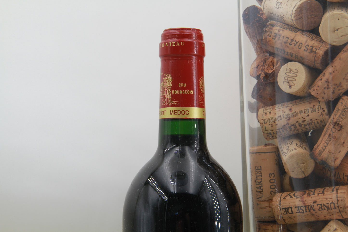 Chateau Camino Salva Cru Bourgeois Haut Médoc 1996