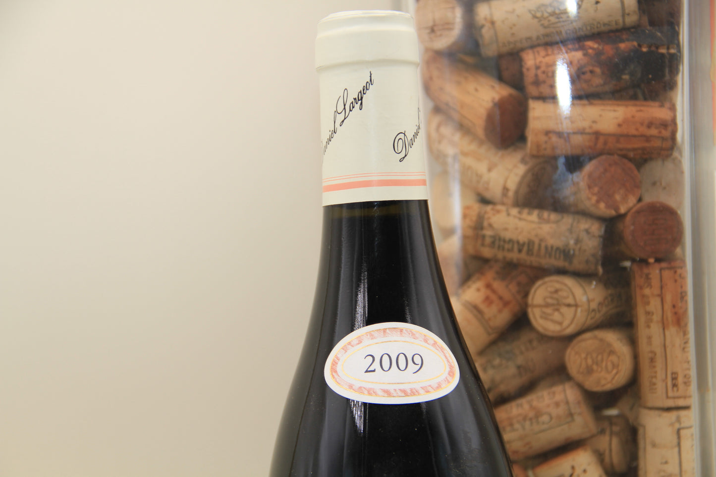 - Beaune 1er Cru " Les Grèves " **2009** Daniel Largeot - Eric-Dixvins