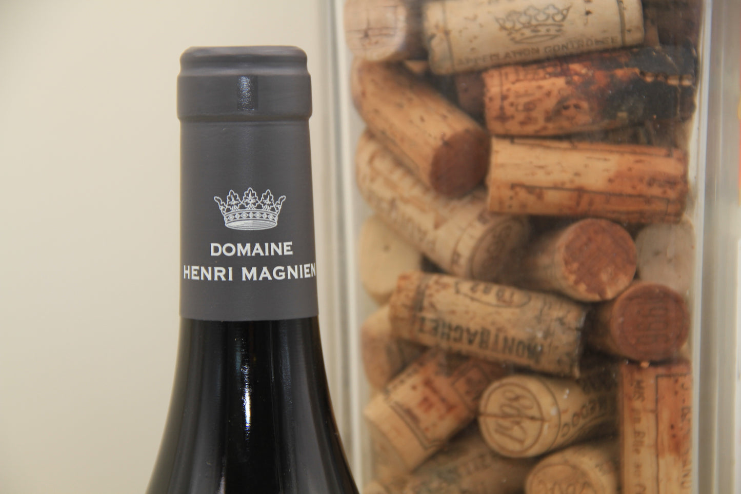 Gevrey Chambertin " Lavaux St Jacques " 1er CRU **2017**Domaine Henri Magnien - Eric-Dixvins