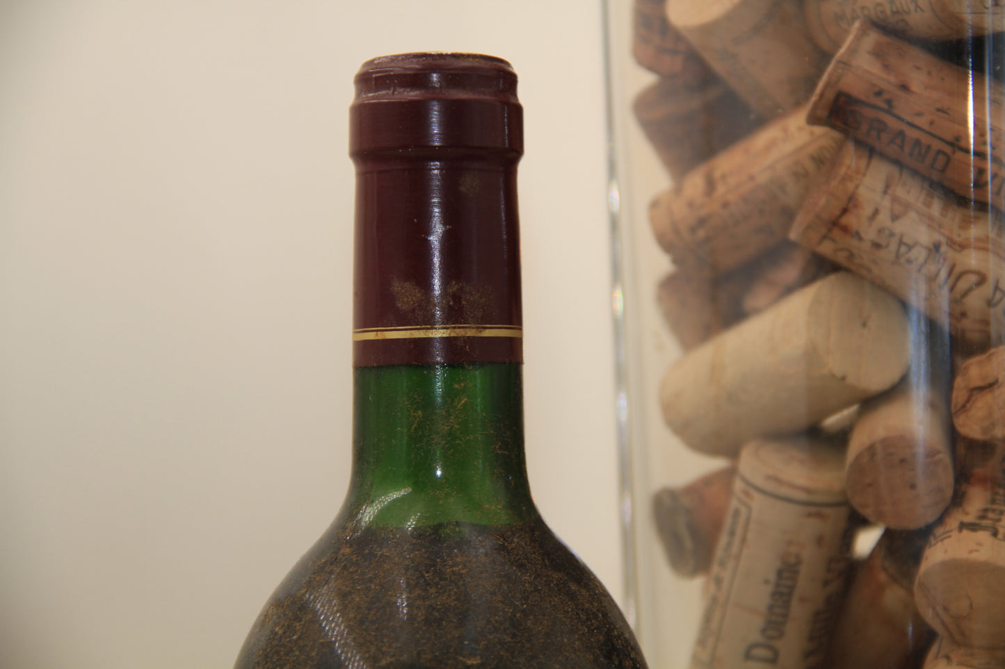 Chateau Meine Pelgirs ** 1990 ** Cotes de Bourg - Eric-Dixvins