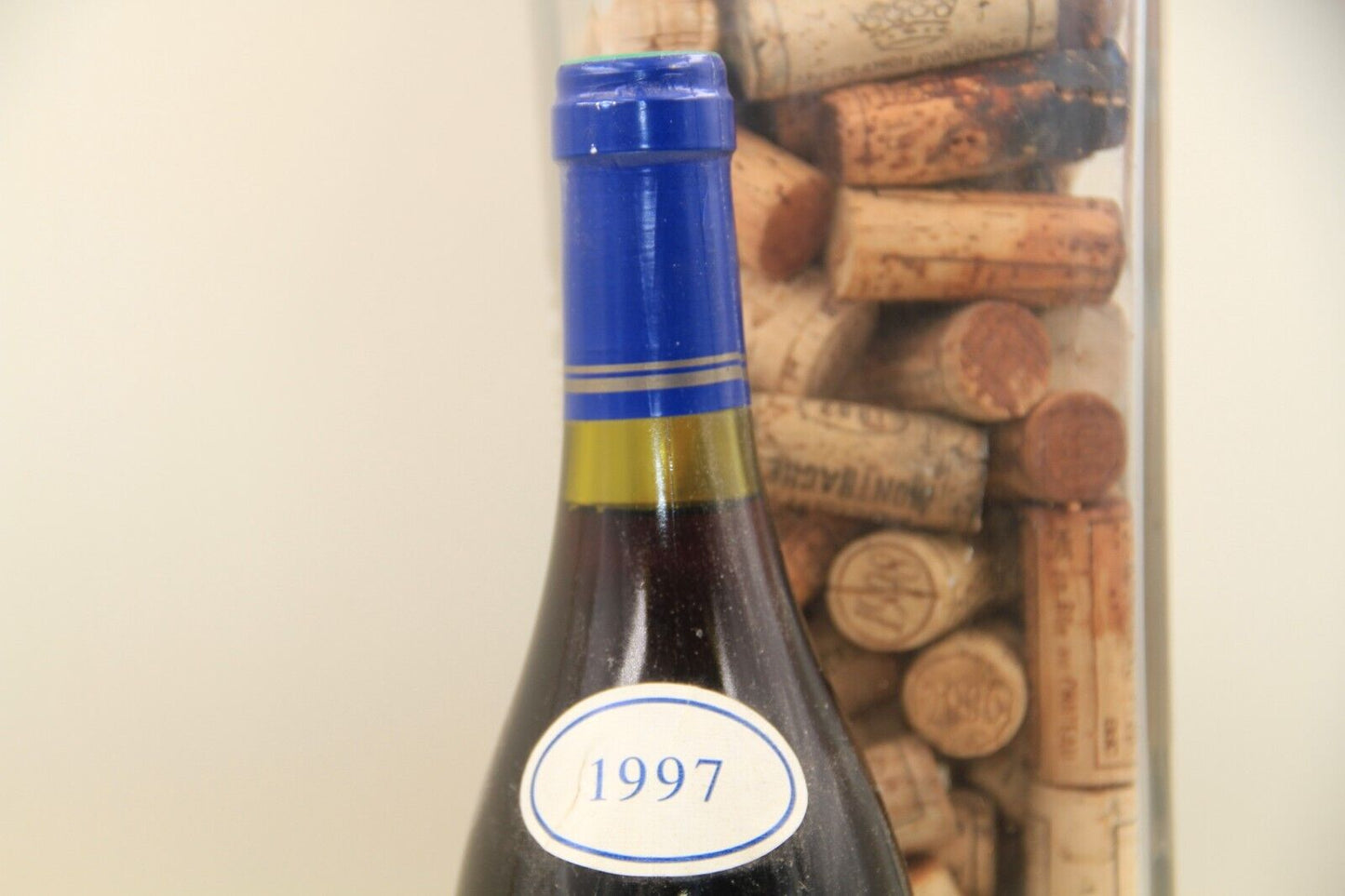 Volnay "Les Échards" ** 1997 ** Domaine Parigot - Eric-Dixvins