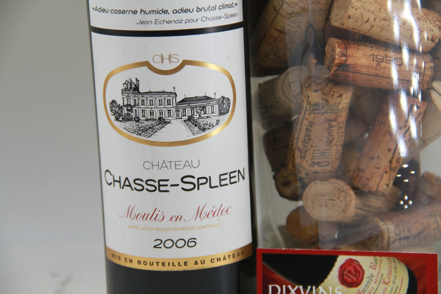 Chateau Chasse Spleen 2006 Moulis en Médoc - Eric-Dixvins