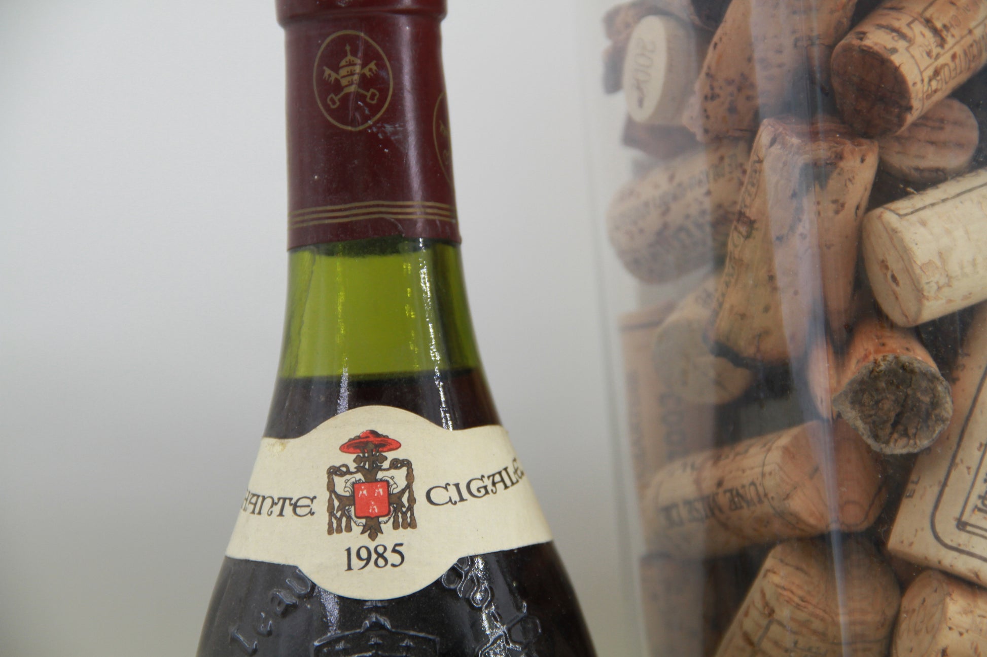 Chateauneuf Du Pape Chante Cigale  1985 Domaine Chante Cigale - Eric-Dixvins