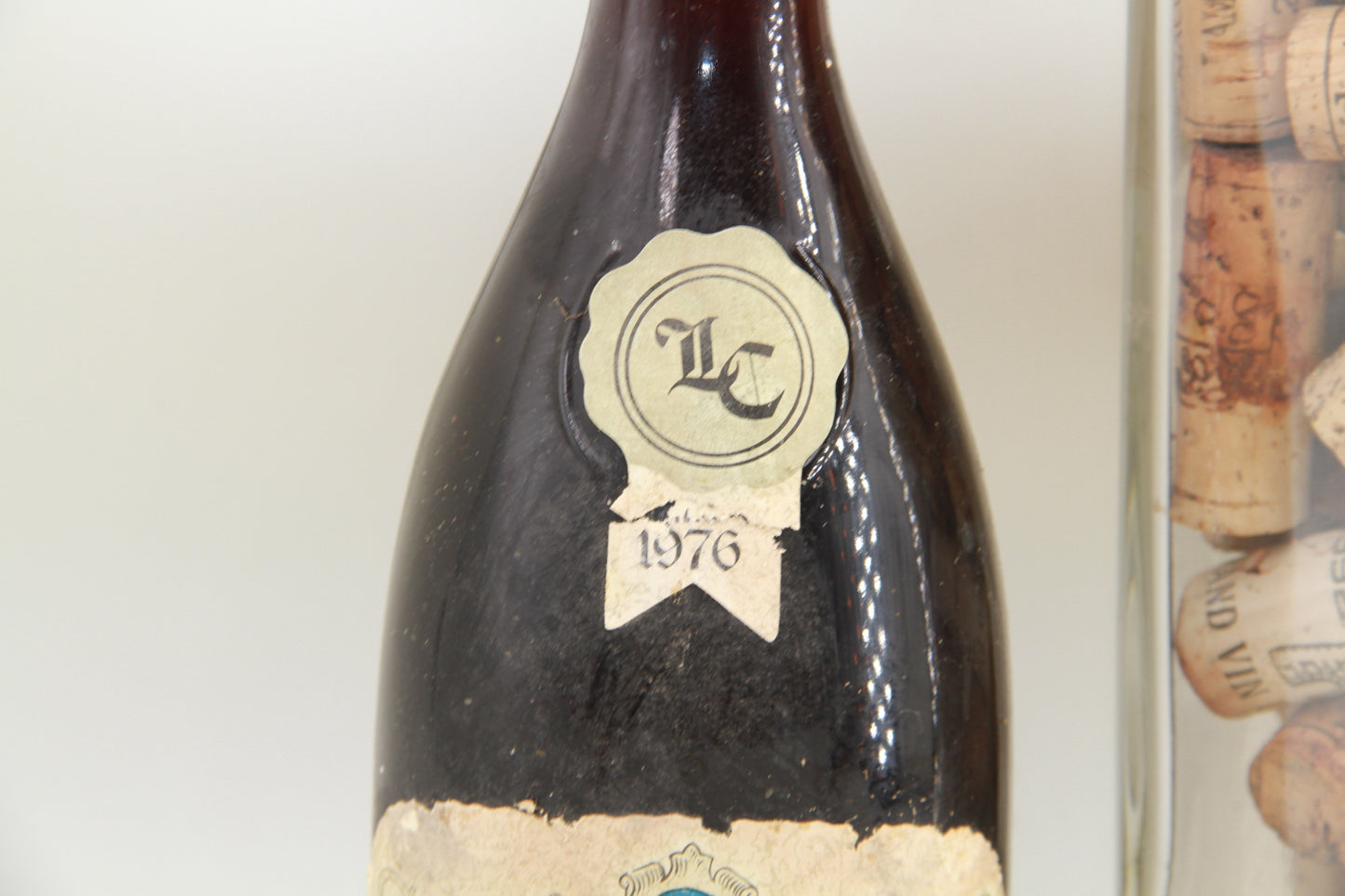 Grignolino Del Piemonte  1976 Costamagna