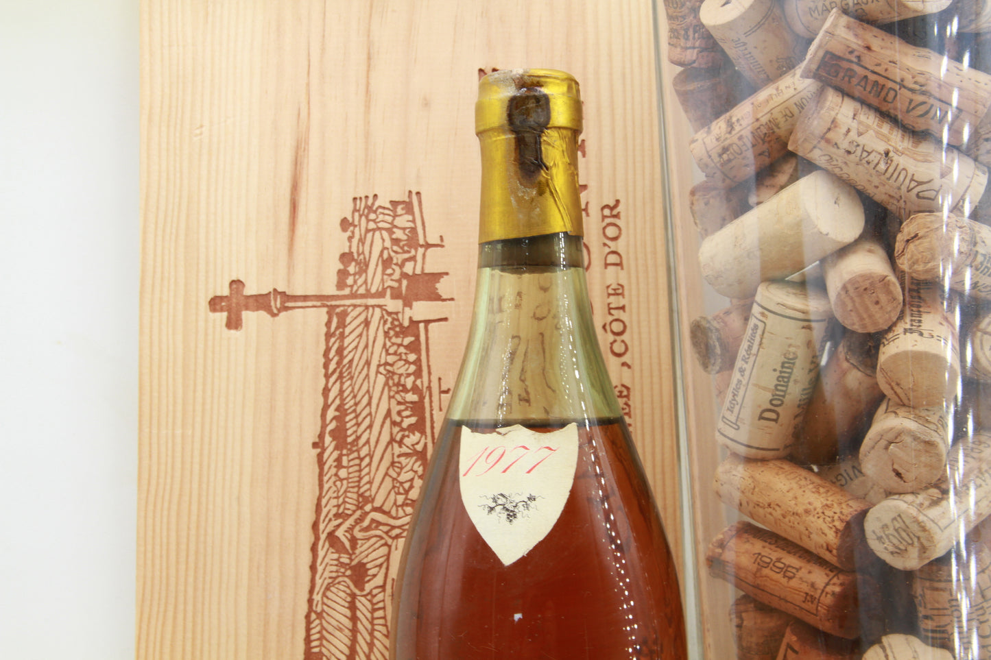 Puligny Montrachet   Les Reflets    Richez Jobard     1977