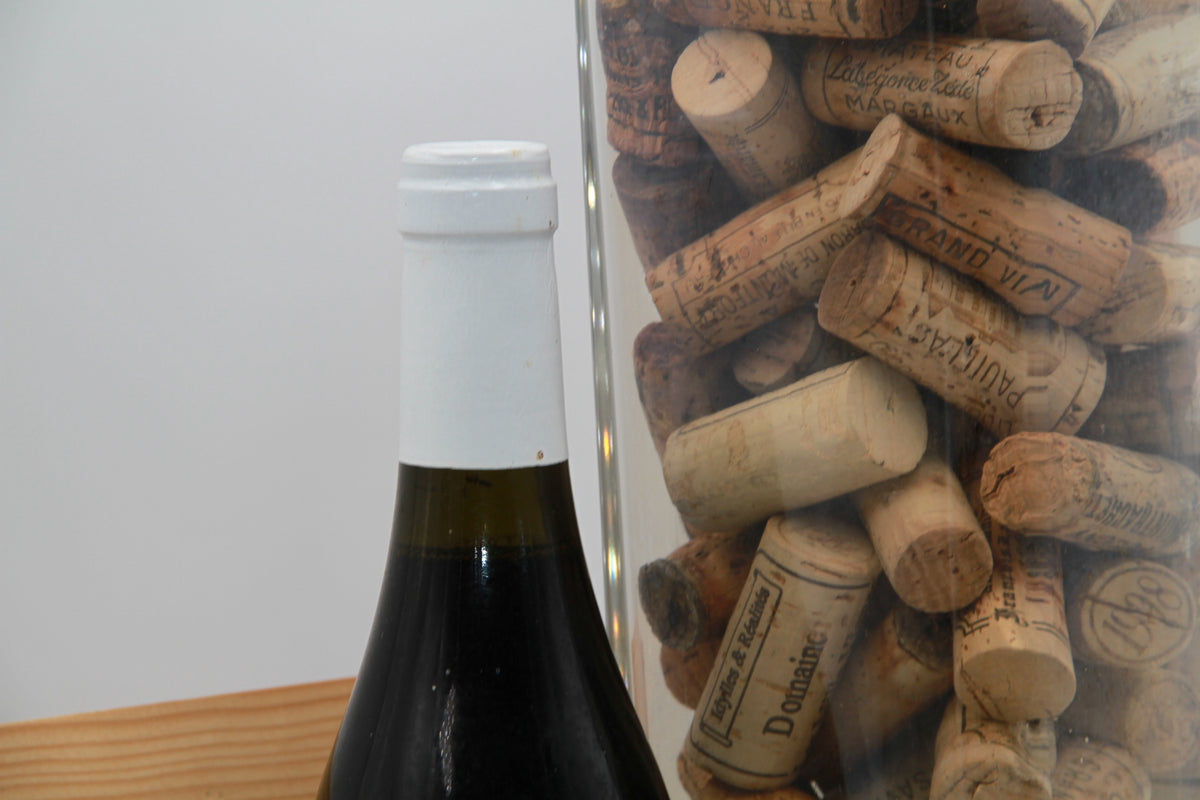 Marsannay " Les Echezeaux.    Jean Fournier  1999