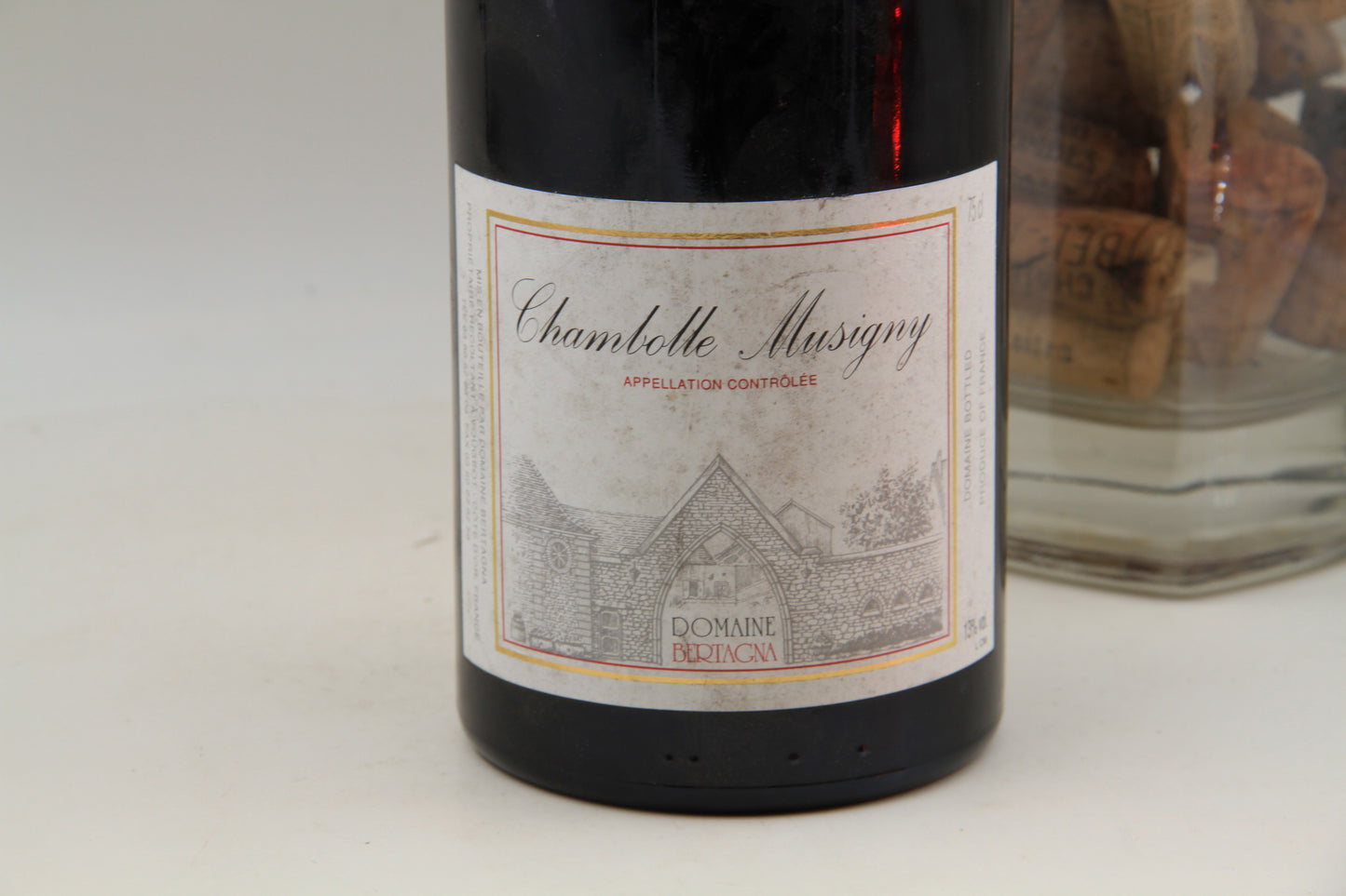 -Chambolle Musigny  ** 1995 ** Domaine Bertagna - Eric-Dixvins