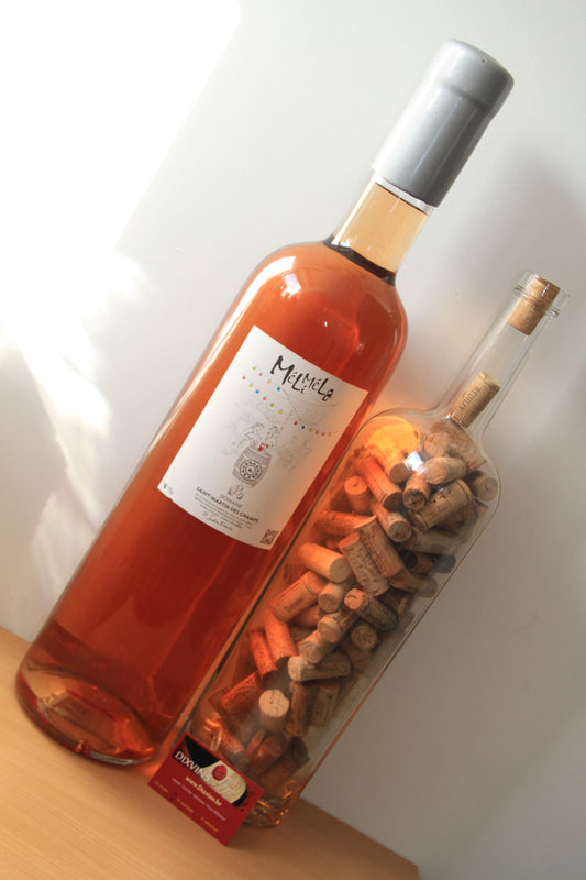 DOMAINE SAINT MARTIN DES CHAMPS - MÉLI MÉLO - ROSÉ 2020 - Imperial. 6 Lts - Eric-Dixvins