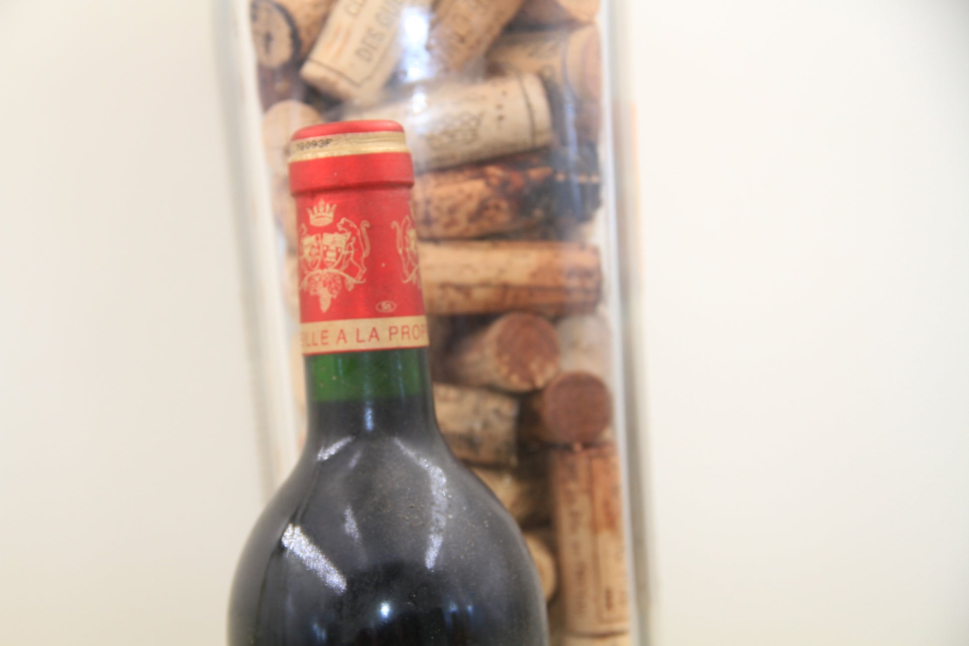 -Cotes Rocheuses **1993** Grand Cru Saint Emilion - Eric-Dixvins